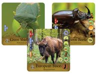 5209766 Hungry Life North America Us