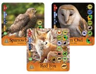 5209770 Hungry Life North America Us