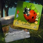 6063874 Hungry Life North America Us