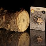 6044634 The Coldest Night