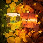 5750987 Dream Runners