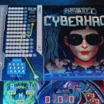 5677102 Flippermania