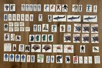 6067296 Betrayal at Mystery Mansion