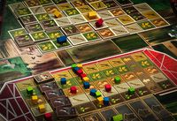 4491794 Eine Frage der Ähre