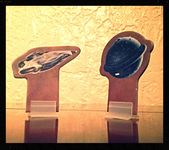 1673393 Perry Rhodan: The Cosmic League