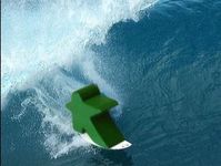 622445 Surf's Up, Dude!