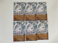 6636883 Roar and Write!