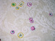 417557 Micro Mutants: Evolution