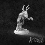 5543719 Fearsome Wilderness
