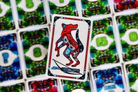 6328327 Coyote (Edizione Inglese 2020)