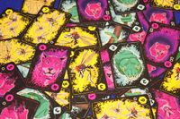 5990551 Anansi (Edizione Inglese)