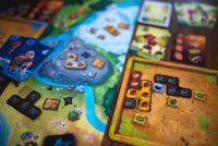 6733642 Cavernicoli: L'Evoluzione