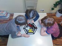 3420602 Abalone Quattro