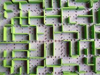 6999891 Zombie Princess and the Enchanted Maze