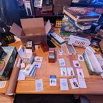 7003284 Villagers: Shifting Seasons