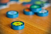 6751762 A Gentle Rain