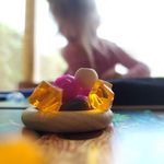 6336492 Squirrel Away