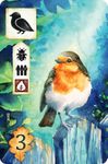 6066525 Meadow: Robin Promo Card