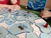 6116540 Ice Floes &amp; Foes