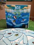 6116544 Ice Floes &amp; Foes