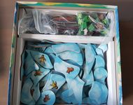6511952 Ice Floes &amp; Foes