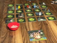 6375959 Hamsters vs. Hippos