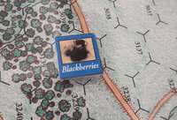 6375906 The Day Was Ours: First Bull Run (July 21, 1861)