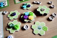 6690045 Azul: Queen's Garden (EDIZIONE INGLESE)