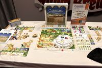 7108098 The Palaces of Carrara (Second Edition)