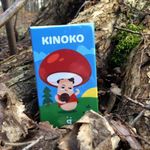 7362037 Kinoko