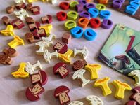 6997156 Wonder Woods