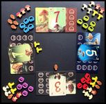 7016537 Wonder Woods