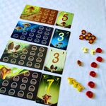 7188125 Wonder Woods