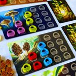 7188126 Wonder Woods