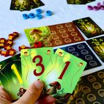 7188130 Wonder Woods