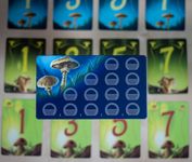 7449172 Wonder Woods