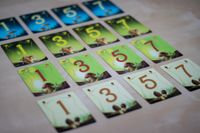 7449173 Wonder Woods