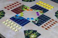 7449175 Wonder Woods