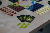 7449176 Wonder Woods