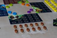 7449178 Wonder Woods