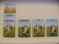 369871 Koe zoekt Boer