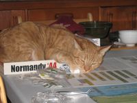 1056329 Normandy '44
