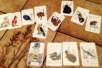 3217430 Manimals: Stuttgarter Wilhelma 1