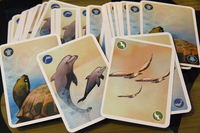 3940399 Mermaid Rain