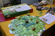 1454806 Schafe Scheuchen