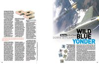 4179772 Wild Blue Yonder