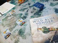 4417172 Wild Blue Yonder