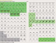 5130564 Blood and Jungle