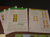 640851 Blood and Jungle