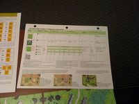 640852 Blood and Jungle